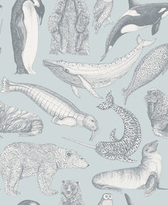 Arctic Animals