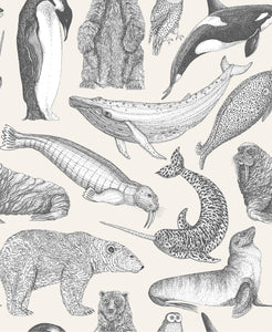 Arctic Animals