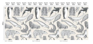 Arctic Animals