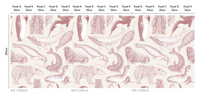 Arctic Animals