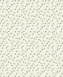 Clover - Green