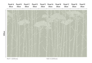 Tree Tops
