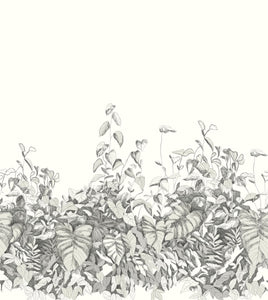Secret Garden - Cream