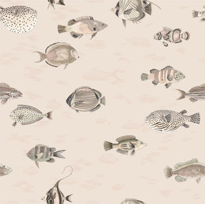Oceana - Blush