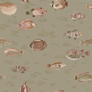 Oceana - Olive