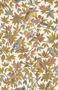 Twitchers - Autumnal