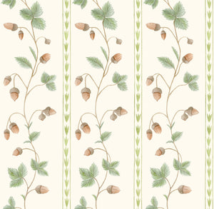 Vine - Acorns