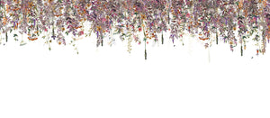Enchanted - Purple